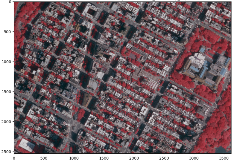 infrared raster clip of a few blocks of upper west side , Manhattan